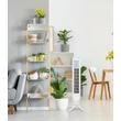ARDES 5T802 Oszlop ventilátor