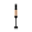 Eta BOTMIXER SZETT 1000 W LCD KIJELZŐVEL 321990020