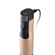 Eta BOTMIXER SZETT 1000 W LCD KIJELZŐVEL 321990020