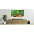 Jvc HANGPROJEKTOR THE434B