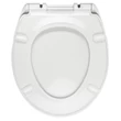 Viva PLUS WC ülőke - duroplast - lecsapódásgátlós - könnyen levehető klikk rendszerű