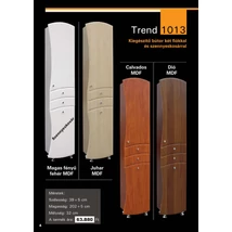 GT1013 TREND M39 2F 1 szennyestartóval magas állószekrény  GUIDO