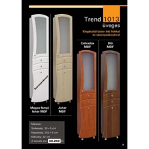 GT1013 TREND Üveges  M39 2F 1 szennyes tartóval magas állószekrény  GUIDO