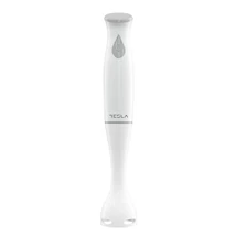 Tesla BOTMIXER HB100WG