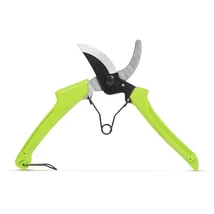 Garden of Eden METSZŐOLLÓ 11294E