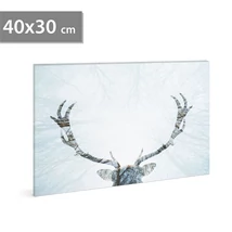 Family Decor LED-ES FALI KÉP RÉNSZARVAS, 40X30 58481A