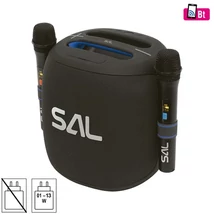 Sal PARTY HANGDOBOZ 2 DB VEZETÉK NÉKÜLI MIKROFONNAL PARCUBE