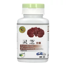 SUN MOON GANODERMA GOMBA KAPSZULA 60DB
