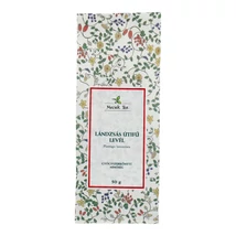 MECSEK LÁNDZSÁS ÚTIFŰLEVÉL TEA 50G