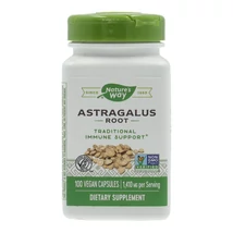 NATURES WAY ASTRAGALUS KAPSZULA 100DB