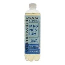 VIWA VITAMIN WATER MAGNEMAX 600ML DRS