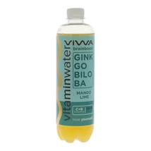 VIWA VITAMIN WATER BRAINBOOST 600ML DRS
