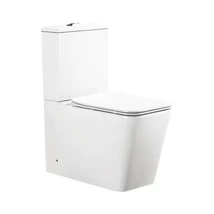Viva ES QUADRO monoblokk WC - perem nélküli - WC ülőkével komplett - mély öblítésű