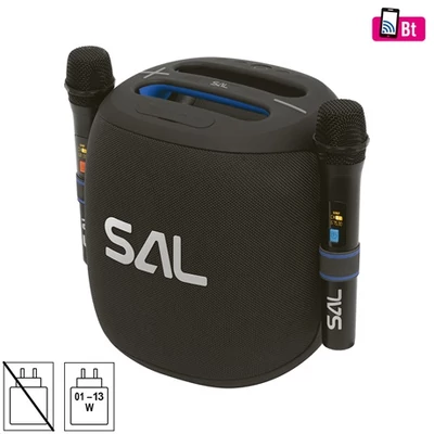 Sal PARTY HANGDOBOZ 2 DB VEZETÉK NÉKÜLI MIKROFONNAL PARCUBE